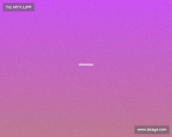 体育赛事的组织与编排