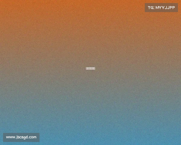 女排历年阵容 女排历年阵容